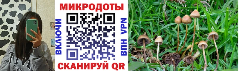 Купить  Ардон  Псилоцибиновые грибы мухоморы 